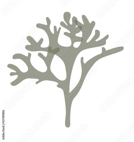 lichen yagel silhouette in two colors
