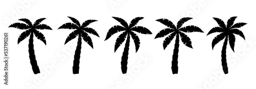Palm tree icon. Logo coconut palm. Black silhouette palm isolated on white background. Coconuts palmtree for design summer prints. Palmetto tree. Vector illustration