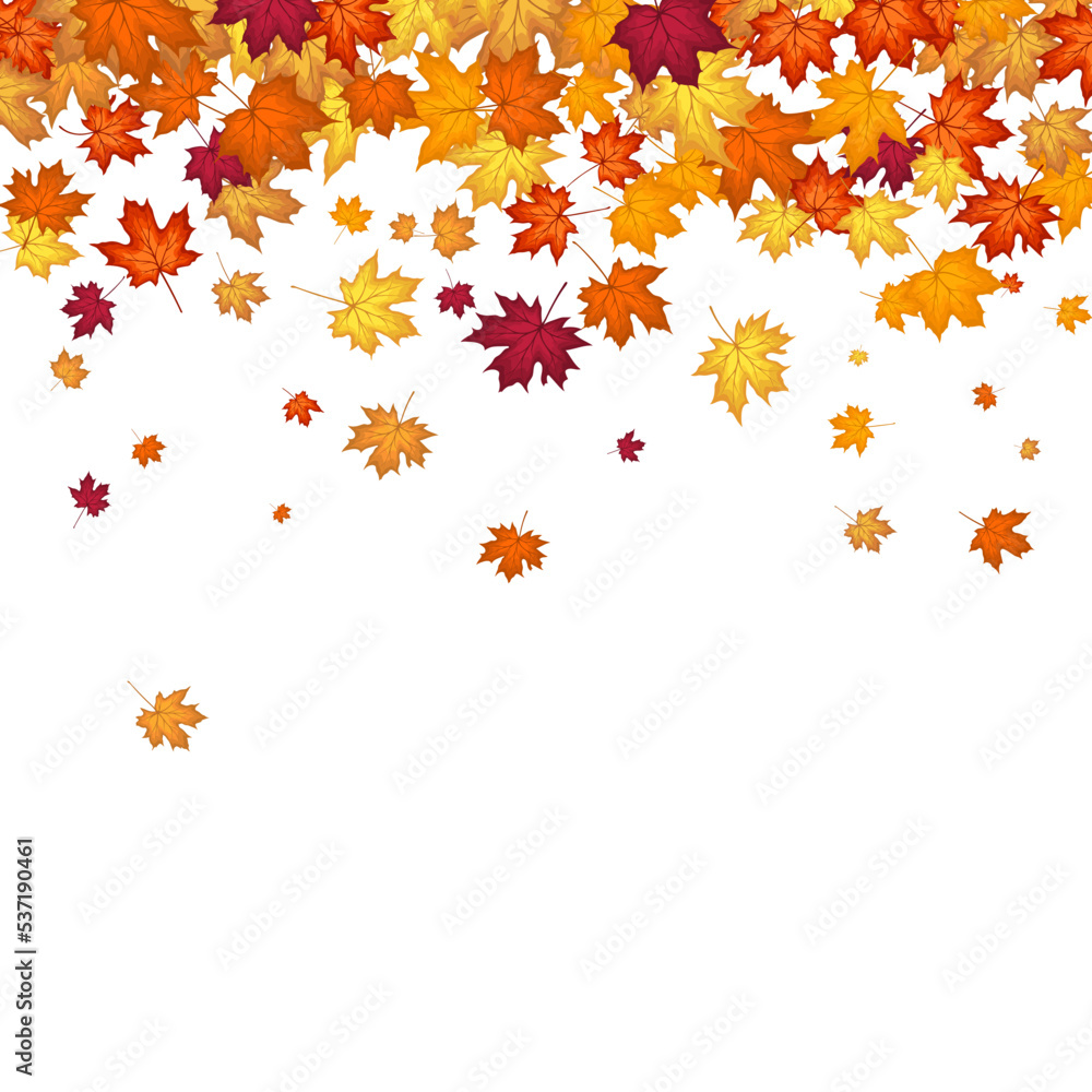 Autumn Maple Frame Autumn Maple Frame