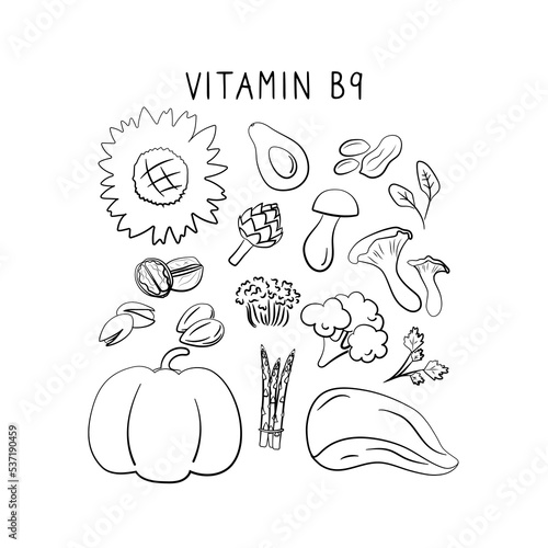 Vitamin B9 folic acid. Groups of healthy products containing vitamins. Set of fruits, vegetables, meats, fish and dairy.