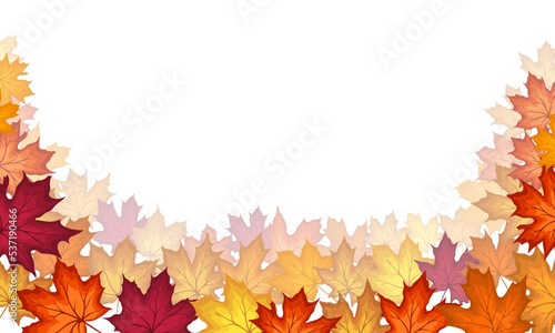 Autumn Maple Frame