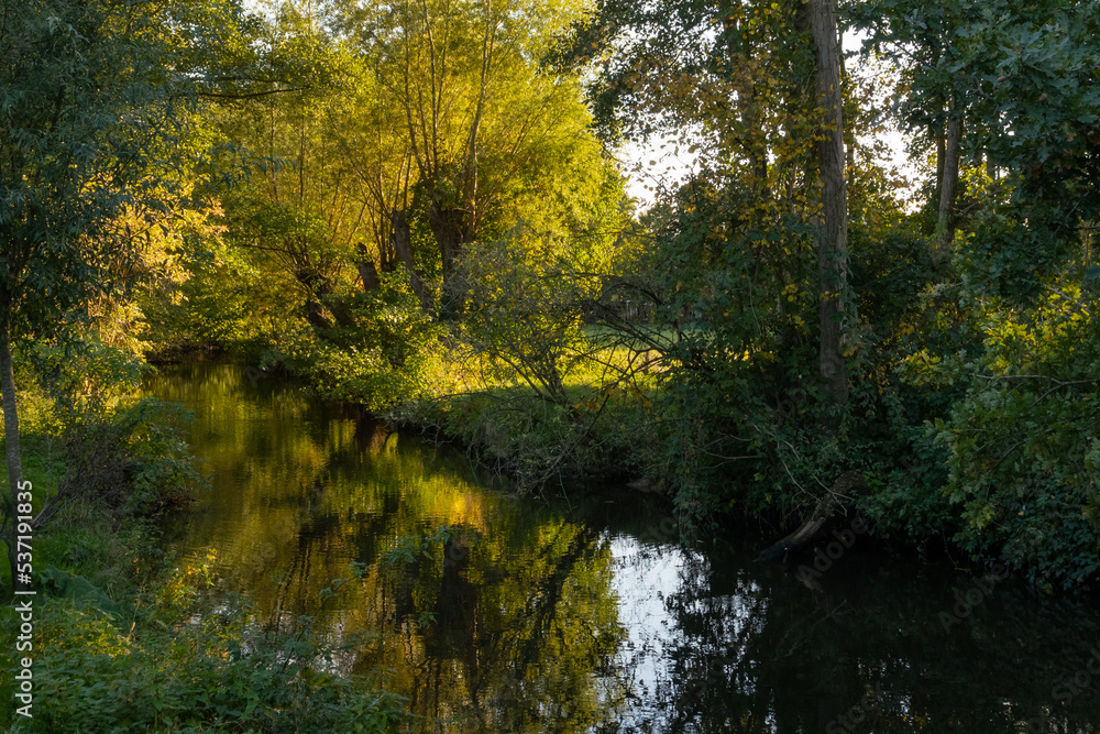 Abendstimmung am Fluss Schwalm im Herbst im Gegenlicht