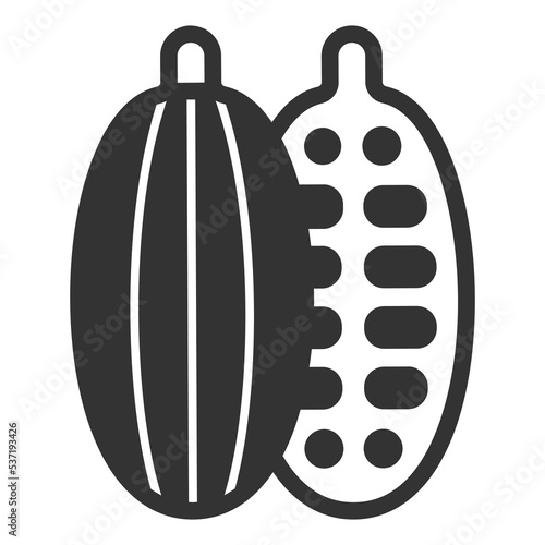 Cut cocoa fruit - icon, illustration on white background, glyph style