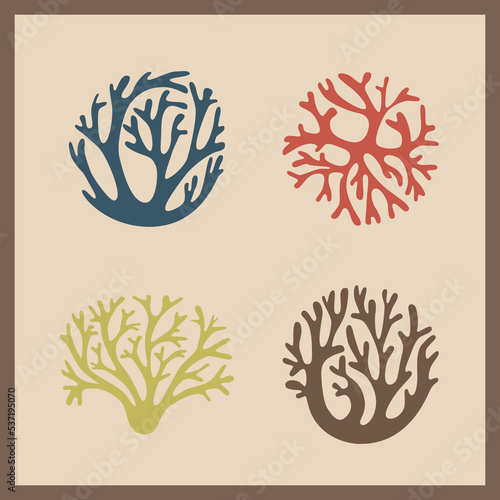 A set of algae , corals and mosses , living vegetation in delicate colors
