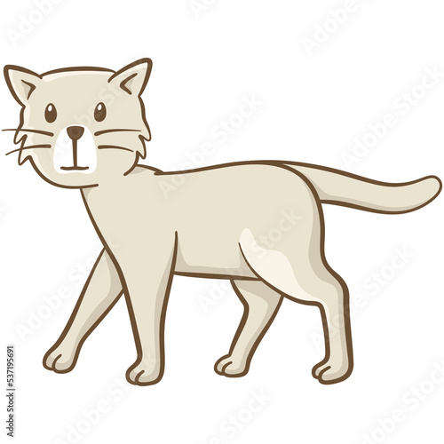 Little cat walking. Cute illustration of a little cat looking at us while walking. Vector illustration on white background.