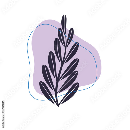 Aesthetic Silhuette Shape