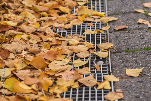 Ein Gullideckel im Herbst ist voll mit Herbstlaub bedeckt photo