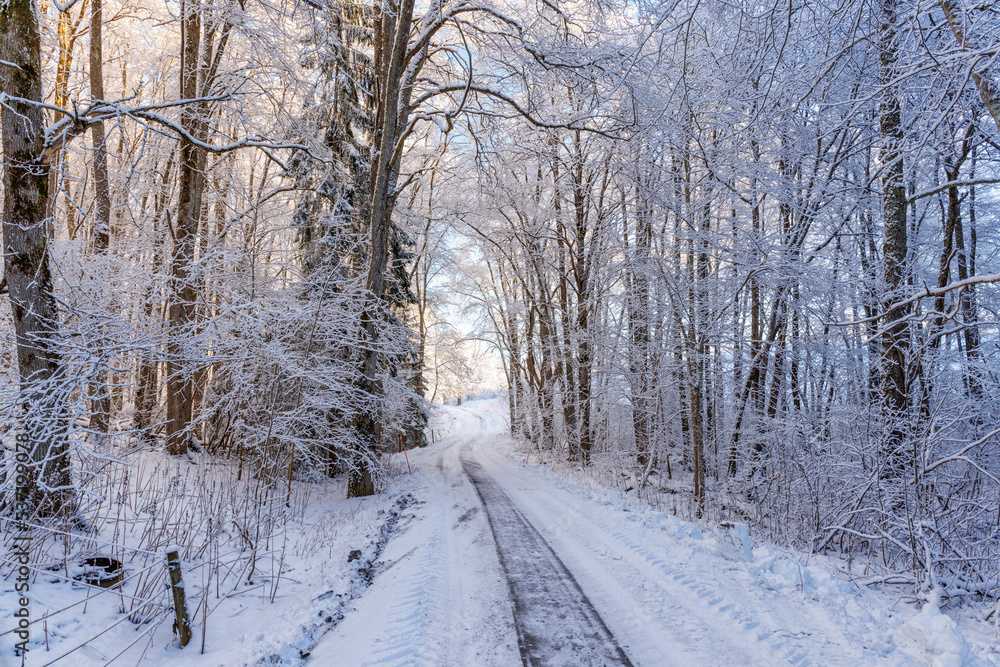 Slippery winter road in a forest Slippery winter road in a forest