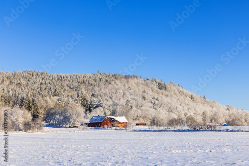 Fototapeta Naklejka Na Ścianę i Meble -  Farm by a hill on a cold winter day in the countryside