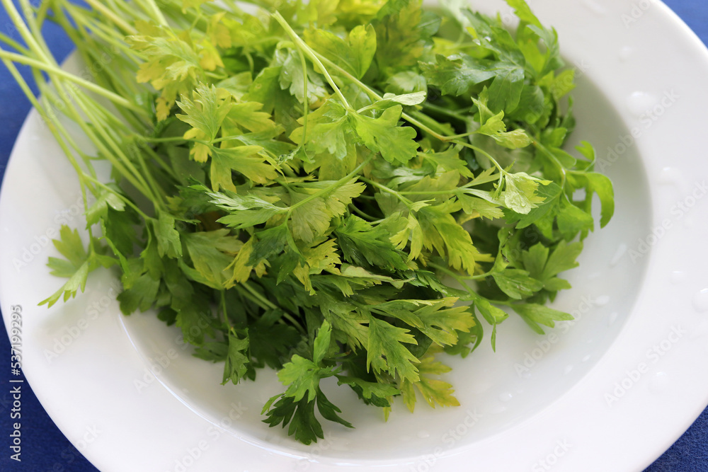 a pinch of parsley in a white plate a pinch of parsley in a white plate