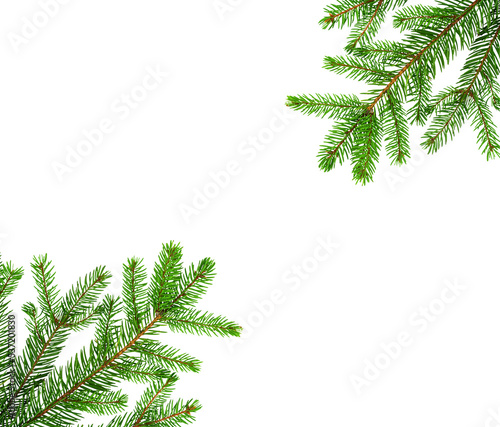 Frame made of spruce branches. Christmas tree isolated on white background. New Year 