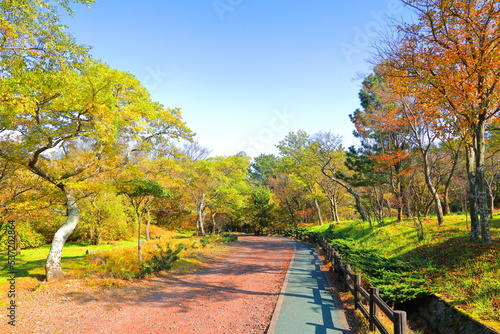 제주 한라산에 있는 한라생태숲의 아름다운 가을 풍경이다.