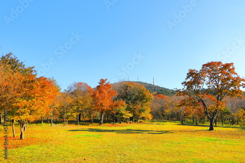 제주 한라산에 있는 한라생태숲의 아름다운 가을 풍경이다. © ju999