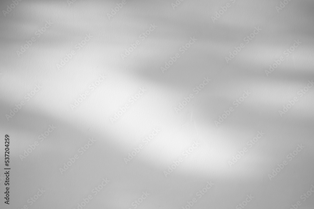 Leaves shadow on concrete wall background Leaves shadow on concrete wall background