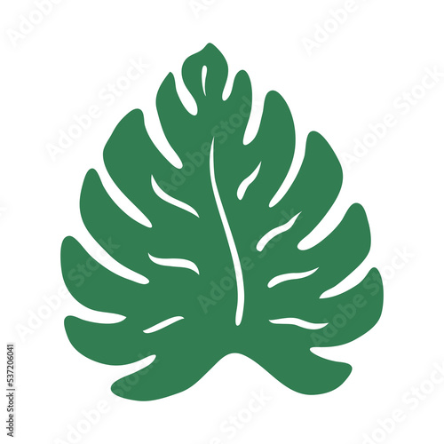Monstera leaf. Green eco plant. Vector illustration isolated on white background. Palm tree leaf.