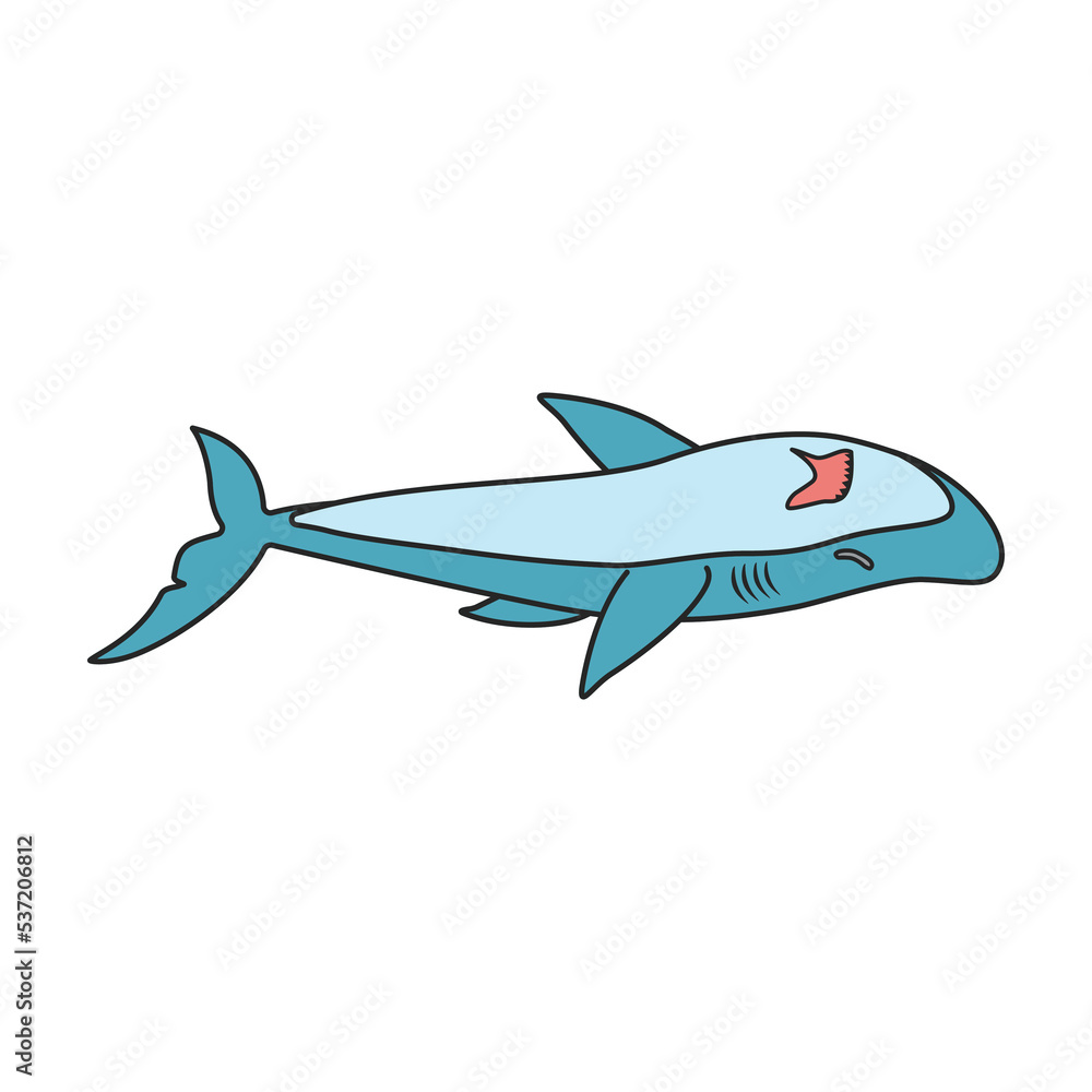 Fototapeta premium Shark vector icon.Color vector icon isolated on white background shark.