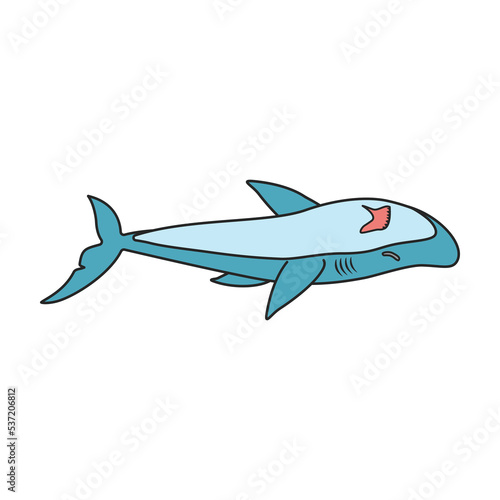 Shark vector icon.Color vector icon isolated on white background shark.