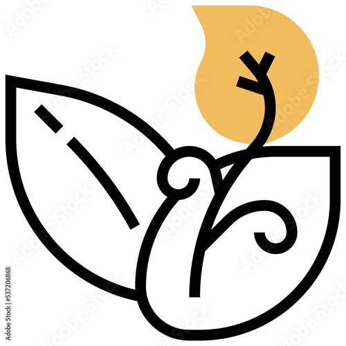 Seeds icon