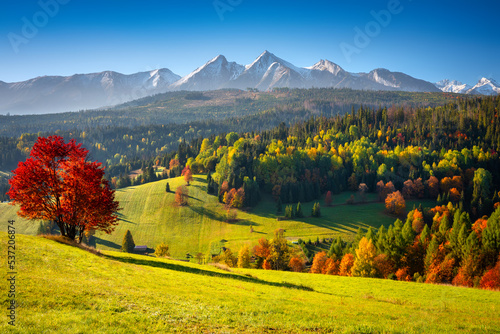 Beautiful autumn with a red and yellow trees under the Tatra Mountains at sunrise. Slovakia