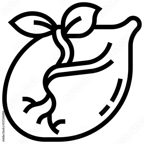 Seeds icon