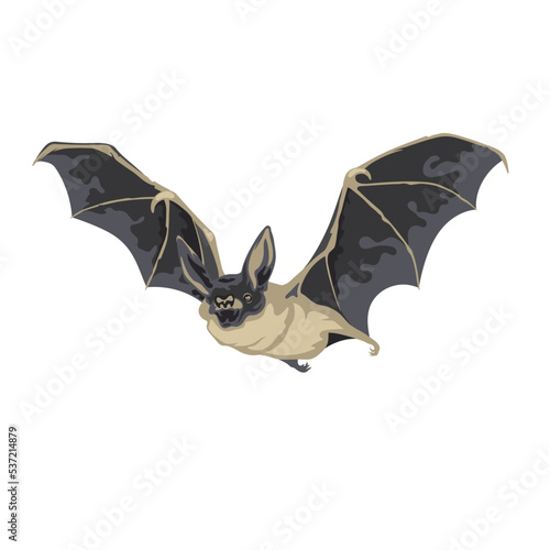 Realistic cartoon bat. Isolated halloween monster. Spooky gothic vampire. Dracula in animal form