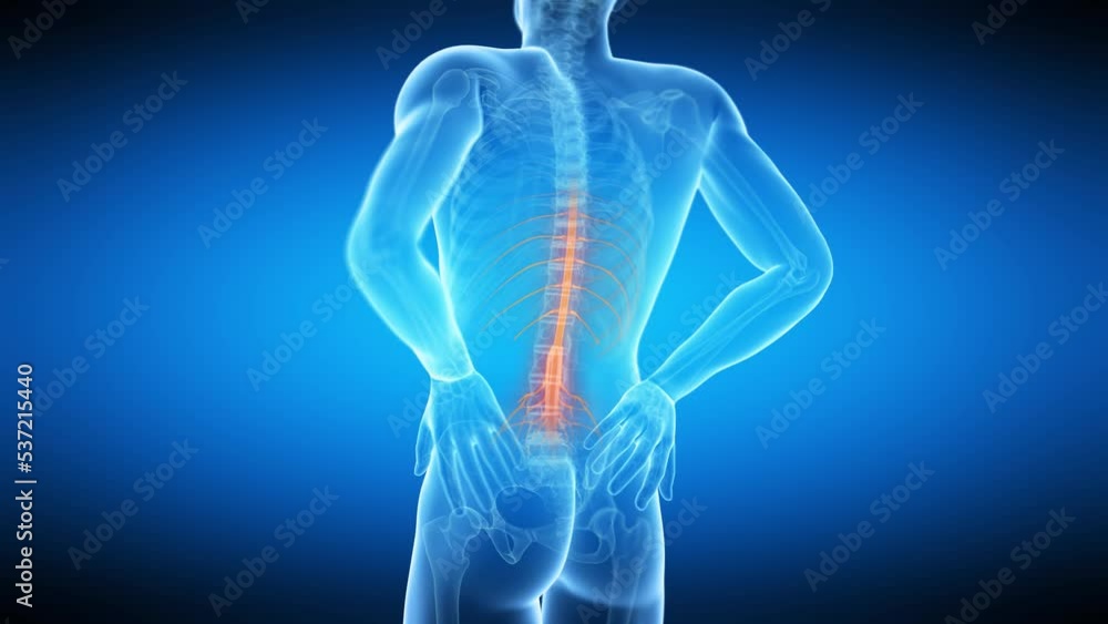3d rendered medical animation of a man having a painful back 3d rendered medical animation of a man having a painful back