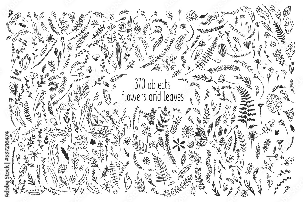 Set of objects from flowers and leaves doodle squiggles sketch collection template