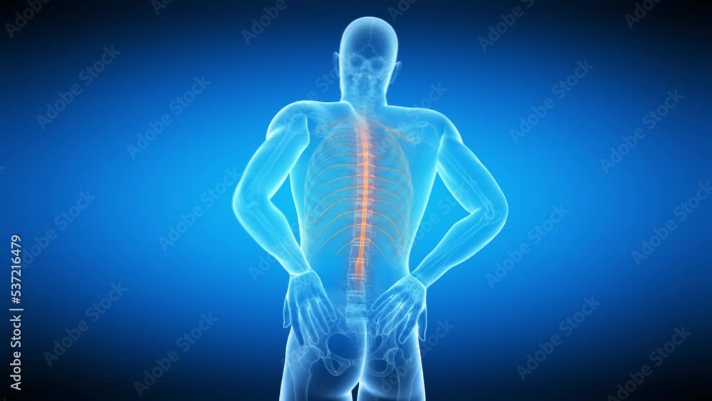 3d rendered medical animation of a man having a painful back 3d rendered medical animation of a man having a painful back