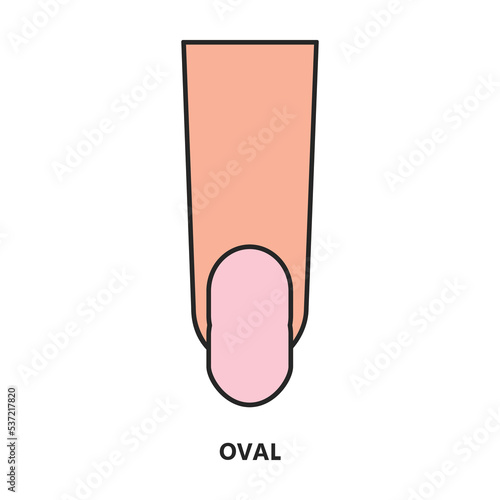 Shape nail vector icon.Color vector icon isolated on white background shape nail.