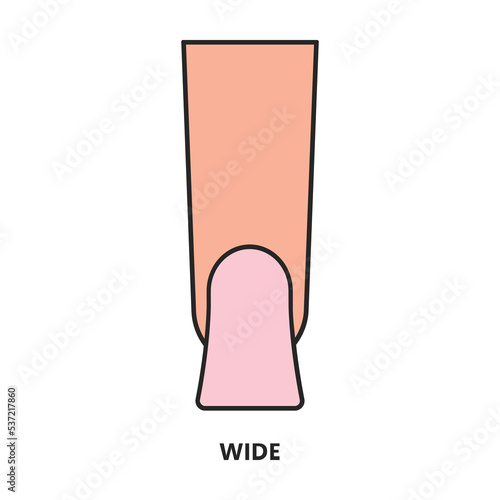 Shape nail vector icon.Color vector icon isolated on white background shape nail.