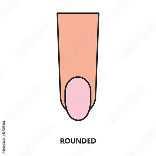 Shape nail vector icon.Color vector icon isolated on white background shape nail.