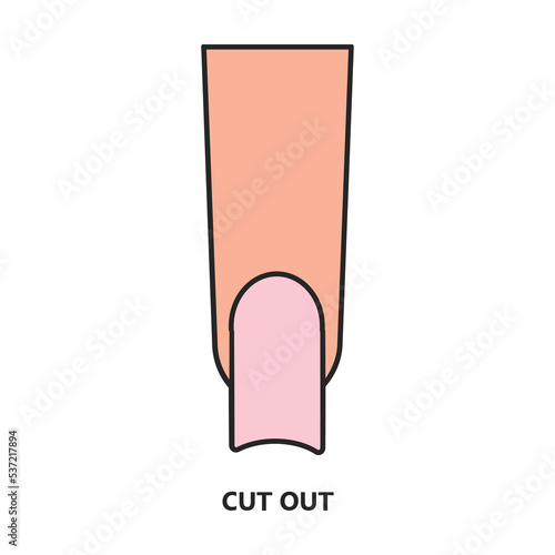 Shape nail vector icon.Color vector icon isolated on white background shape nail.