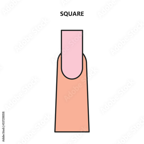 Shape nail vector icon.Color vector icon isolated on white background shape nail.