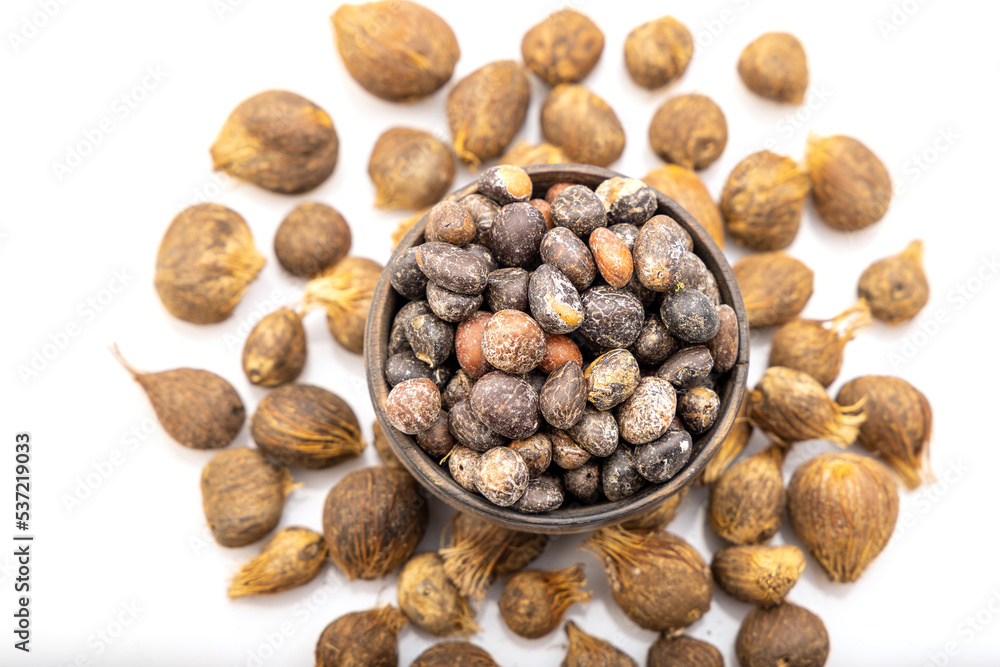 The palm kernel is the oil palm fruit.
The fruit yields palm oil derived from the outer elements of the fruit, and palm kernel oil derived from the kernel The palm kernel is the oil palm fruit.
The fruit yields palm oil derived from the outer elements of the fruit, and palm kernel oil derived from the kernel