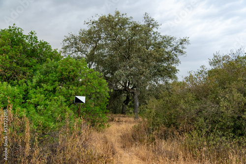 entrada de coto privado de caza en la dehesa española photo