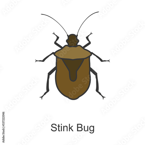 Bug stink vector icon.Color vector icon isolated on white background bug stink.