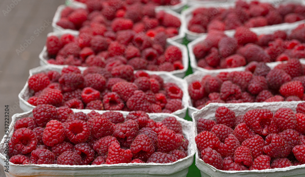 Ripe Raspberries in a Paper Container, Rasp Berries Closeup Ripe Raspberries in a Paper Container, Rasp Berries Closeup