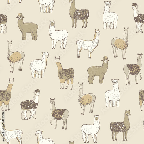 Fototapeta Naklejka Na Ścianę i Meble -  Lama alpaca animal vector seamless pattern.