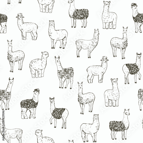 Lama alpaca animal vector seamless pattern.