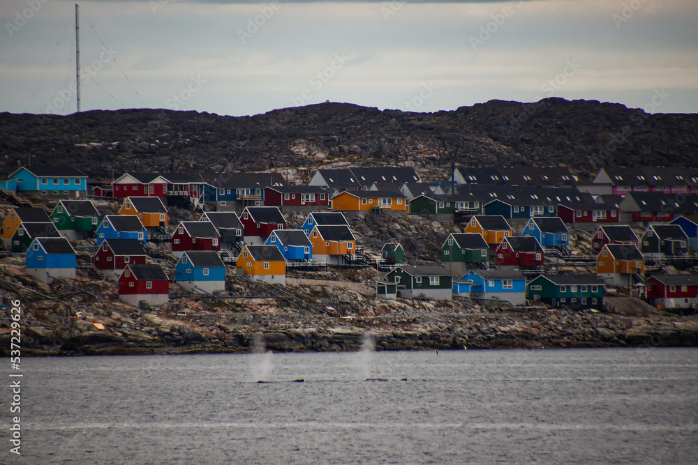 Greendland and whales Greendland and whales