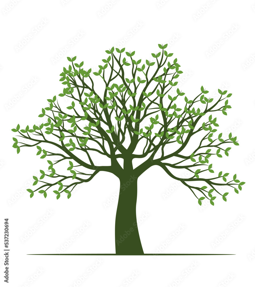 Shape of Spring Tree with Leaves. Vector outline Illustration. Plant in Garden. Shape of Spring Tree with Leaves. Vector outline Illustration. Plant in Garden.