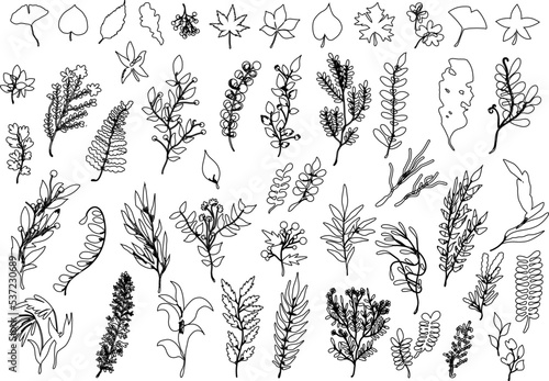 手描き 線画 秋の紅葉 植物 シンプル イラストアイコン セット