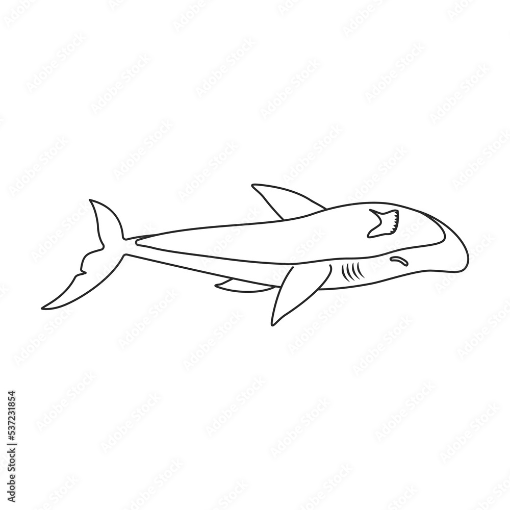 Shark vector icon.Outline vector icon isolated on white background shark. Shark vector icon.Outline vector icon isolated on white background shark.