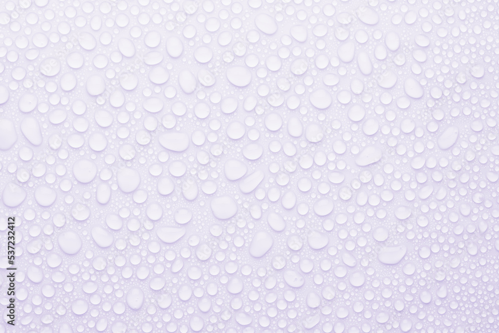 Soft light water droplets on gentle light lilac or pink background as fresh pattern of small shine drops, texture, top view.