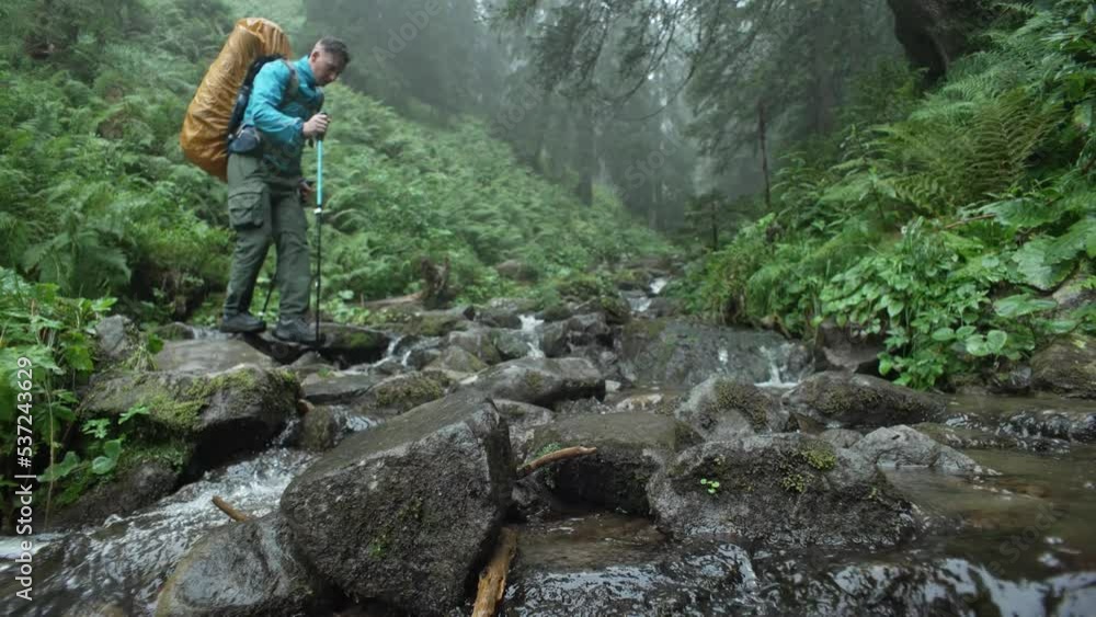 A man with a backpack crosses a mountain river on stones in a green forest in the rain. A hiker with a yellow backpack and blue clothes and trekking poles crosses the river in cloudy weather. 4k A man with a backpack crosses a mountain river on stones in a green forest in the rain. A hiker with a yellow backpack and blue clothes and trekking poles crosses the river in cloudy weather. 4k