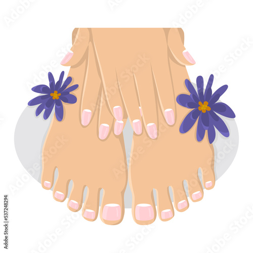 Feet and hands with French manicure and two purple flowers, illustration