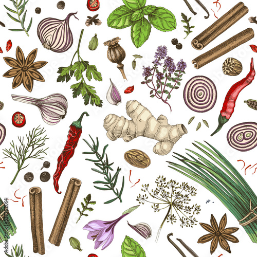 Seamless pattern with hand draw spices