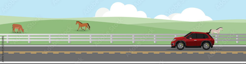 Sport red car driving on asphalt road. Driving on country road with road barrier of side ranch. Background of mendow are cows and horses under blue sky. Copy Space Flat Vector.