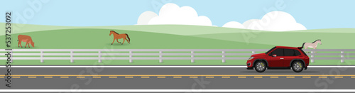 Sport red car driving on asphalt road. Driving on country road with road barrier of side ranch. Background of mendow are cows and horses under blue sky. Copy Space Flat Vector.
