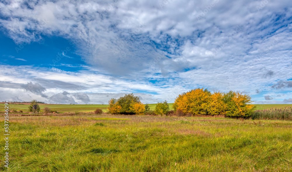 Autumn lanscape colour trees and meadow Autumn lanscape colour trees and meadow